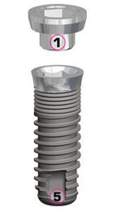 Cylindrical dental implant / internal hexagon / self-tapping EVL® N SERF Dedienne santé