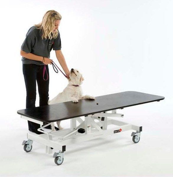Veterinary examination table / electrical / lifting Medi-Plinth