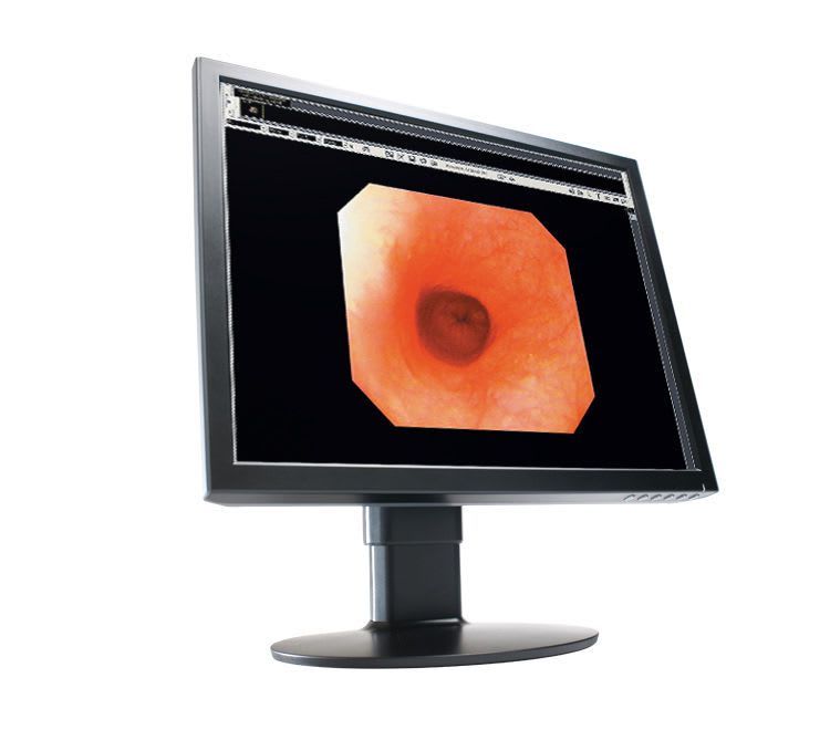 LCD display / medical 20.1", 2 MP | CL20 WIDE Europe