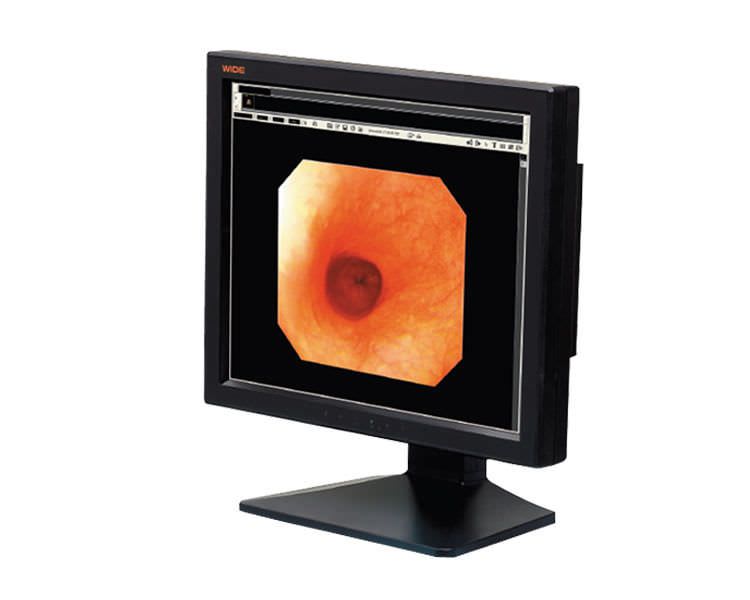 LCD display / medical 19", 1 MP | IF1911CP WIDE Europe