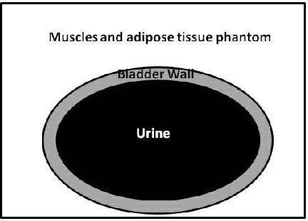 Ultrasound imaging test phantom / bladder Yezitronix