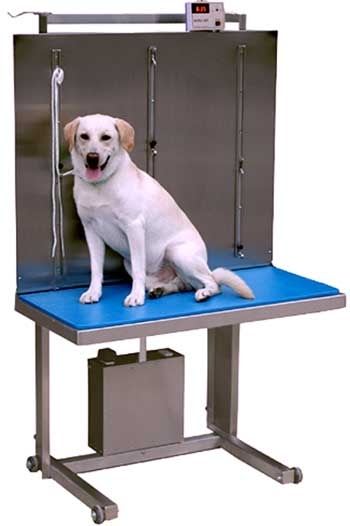 Veterinary examination table / lifting / fixed / with scale ELSAM III Technidyne