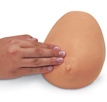 Breast massage anatomical model 1040 Simulaids