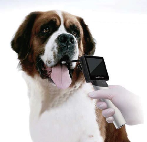 Digital camera / intra-oral / veterinary / with LED light iO1 VET SyncVision Technology Corp.