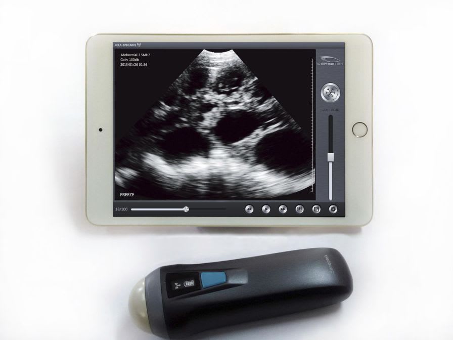 Portable ultrasound system / for multipurpose ultrasound imaging / wireless probe SV-1 SonicVet