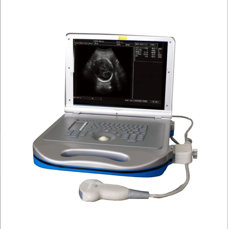 Portable ultrasound system / for multipurpose ultrasound imaging 15" TFT | BEU-8360A Shenzhen Bestman Instrument Co.,ltd