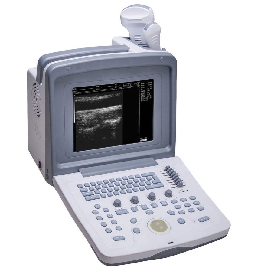 Portable veterinary ultrasound system WED-9618V Shenzhen Well.D Medical Electronics