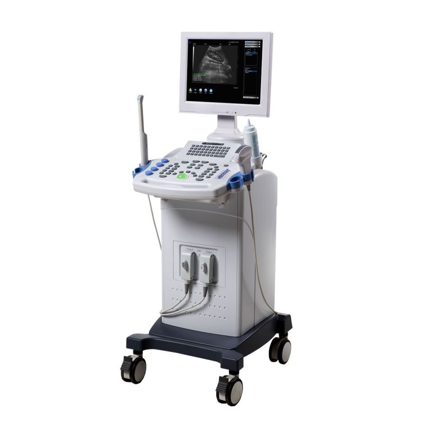 Ultrasound system / on platform / for multipurpose ultrasound imaging WED-660 Shenzhen Well.D Medical Electronics