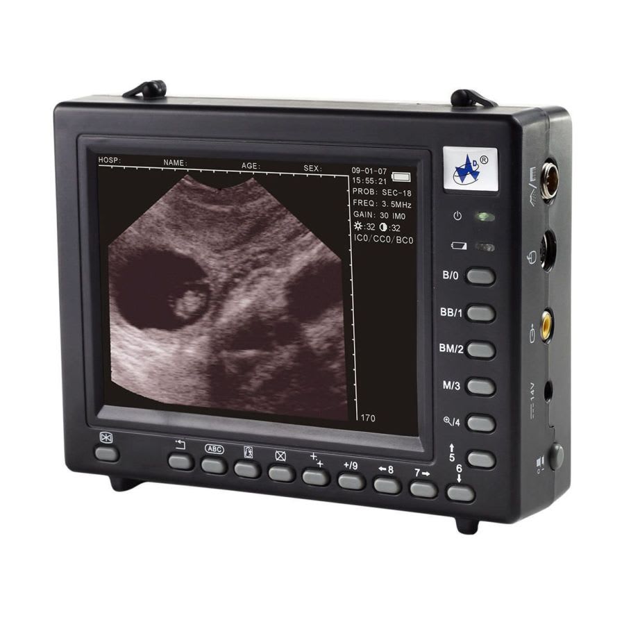Portable veterinary ultrasound system WED-2000V Shenzhen Well.D Medical Electronics