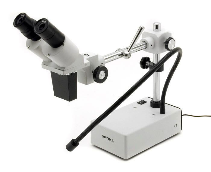 Teaching stereo microscope / binocular / LED 20x | ST-50Led Optika Italy