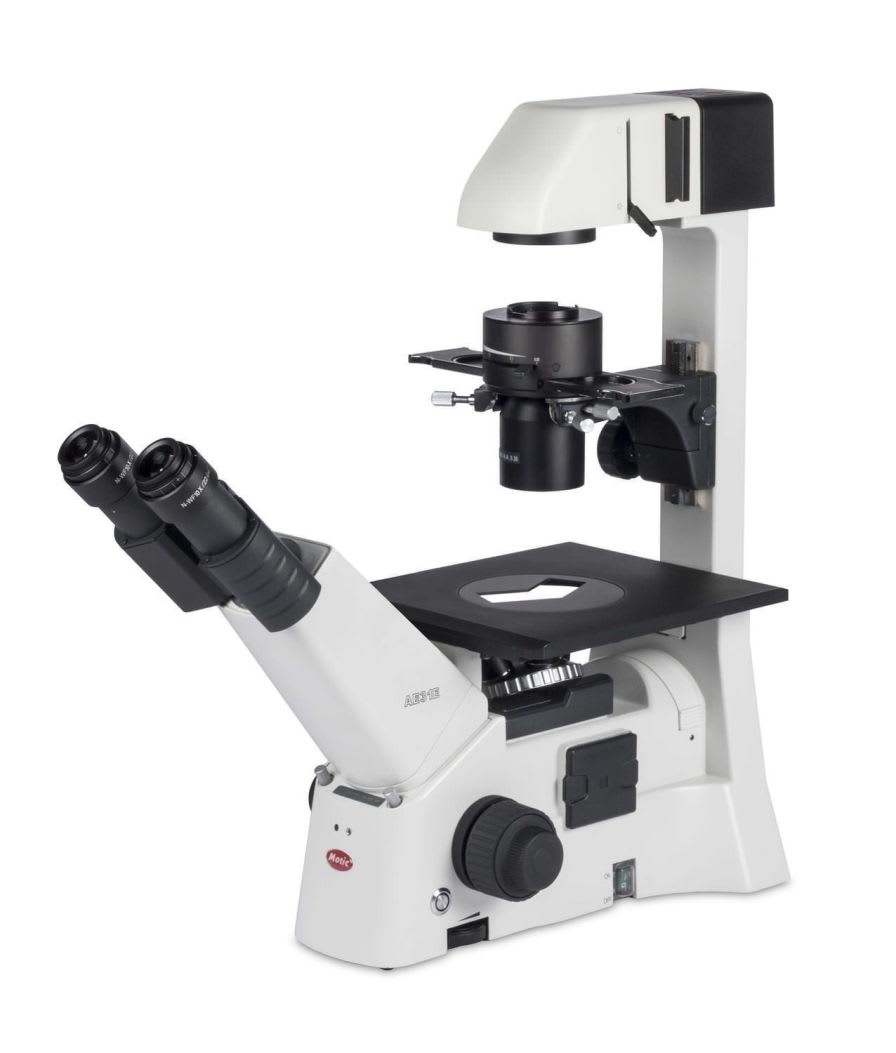 Laboratory microscope / optical / Siedentopf type / binocular AE31 ELITE Binocular Motic Europe