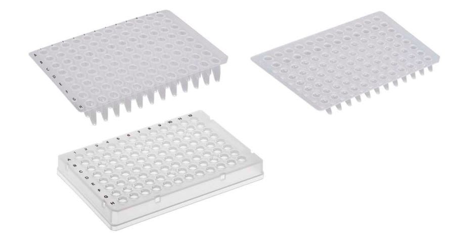 PCR microplate / 96-well Ratiolab GmbH