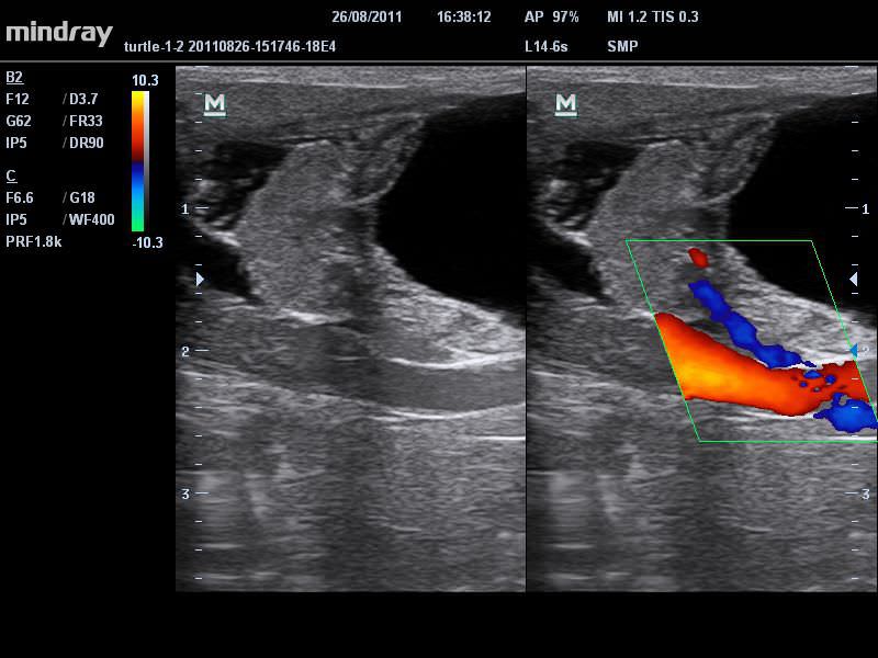 Portable veterinary ultrasound system M7 Vet Mindray