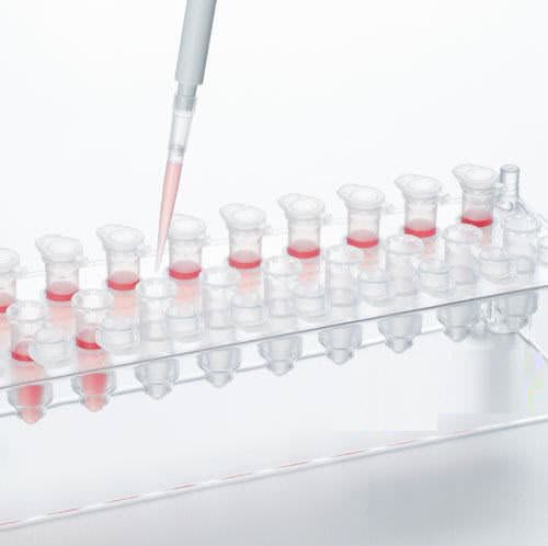 Filter pipette tip ep Dualfilter T.I.P.S.® Eppendorf AG