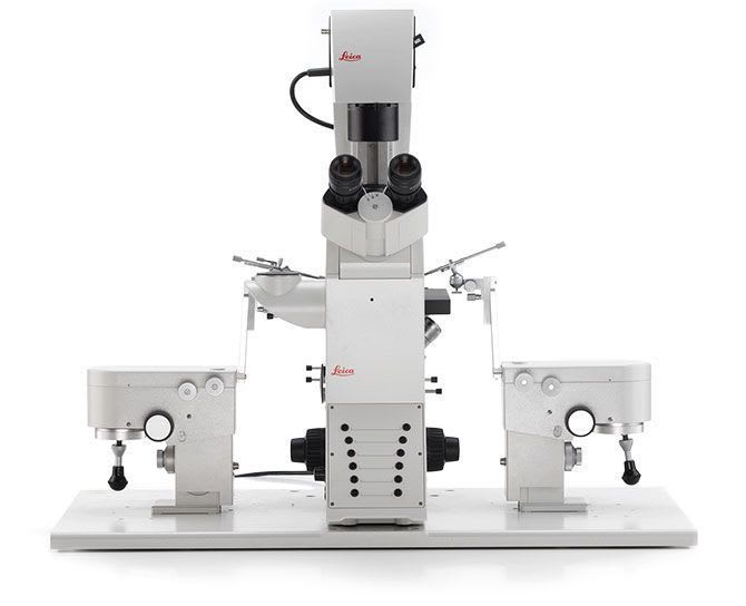 Laboratory microscope / scientific research / digital / differential interference contrast Leica DMi8 Leica Microsystems