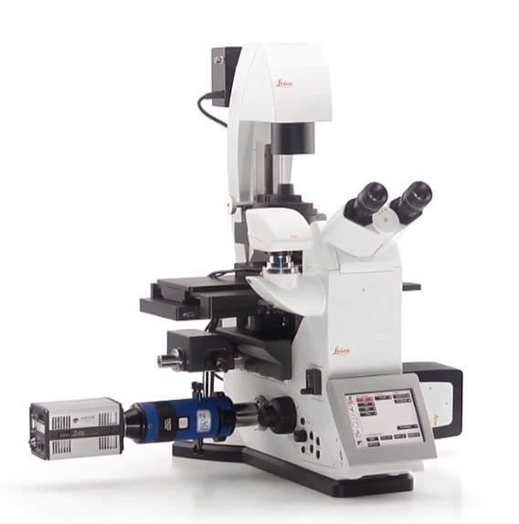 Laboratory microscope / scientific research / digital / fluorescence Leica DMi8 Leica Microsystems