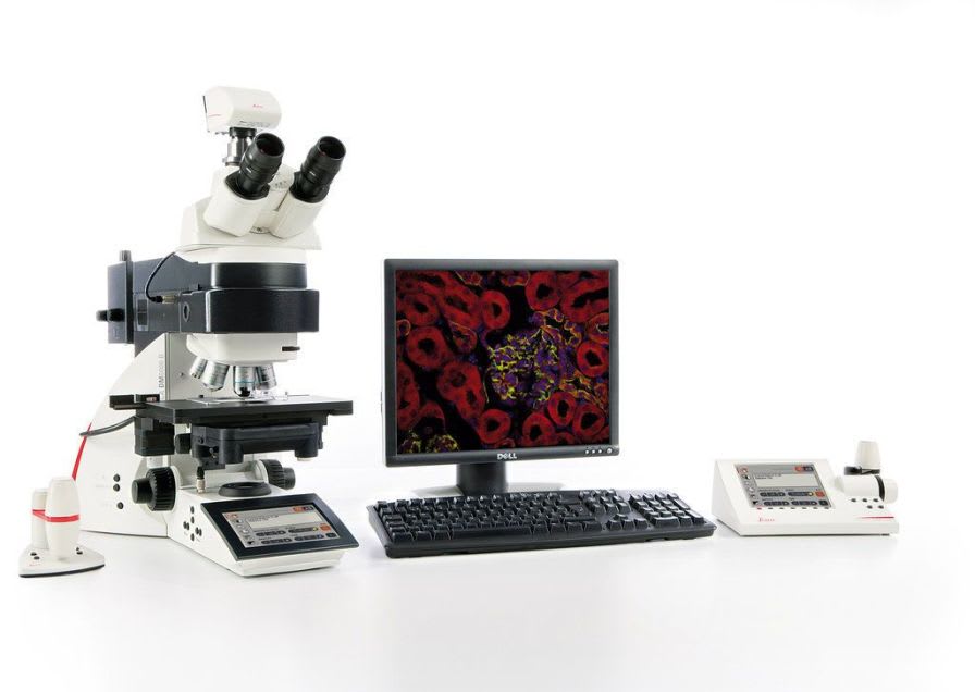 Digital camera / for laboratory microscopes / CCD / cooled 2 Mpx | DFC345 FX Leica Microsystems
