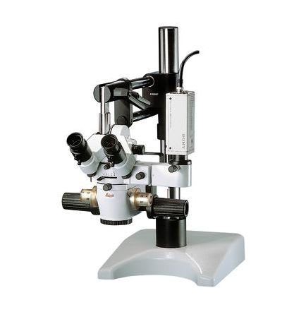 Operating microscope (surgical microscopy) / multipurpose / tabletop M651 MSD Leica Microsystems