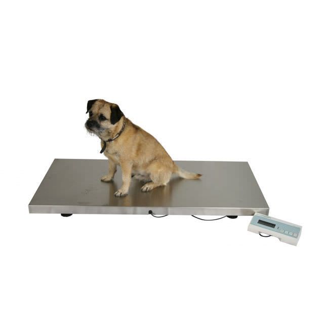 Marsden V-25 Low Cost Small Veterinary Weighing Scale for Weighing