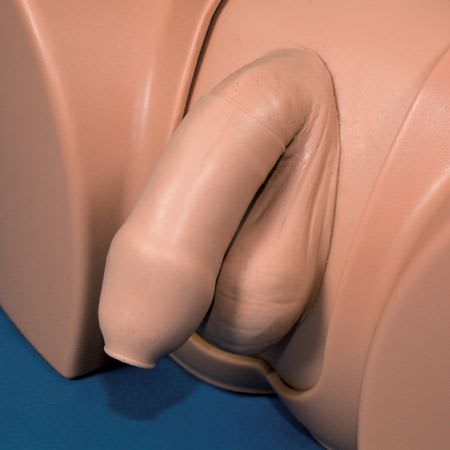 Urinary catheterization simulator / male 60151 Limbs & Things