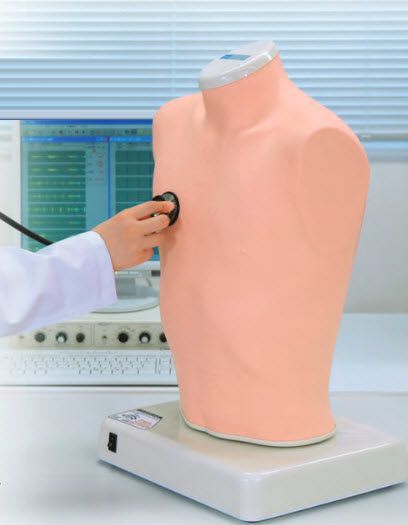 Auscultation patient simulator / torso / with sound generator LSAT Kyoto Kagaku