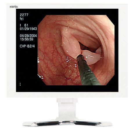 LCD display / high-definition / surgical 19", 2 MP, 12 bit | E190S4 Kostec