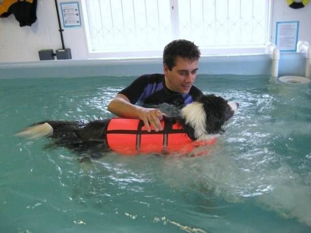 Veterinary rehabilitation swimming pool Hydro-Flex K9 Surf