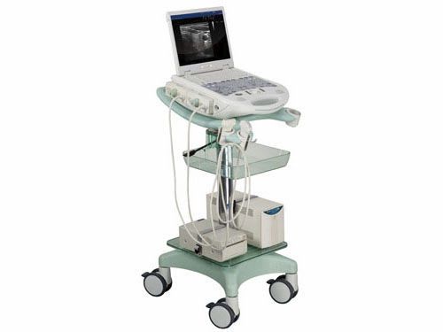 Portable ultrasound system / for multipurpose ultrasound imaging MyLab™25 GOLD ESAOTE