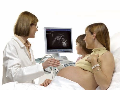 Ultrasound system / on platform, compact / for multipurpose ultrasound imaging MyLab™40 + eHD Technology ESAOTE