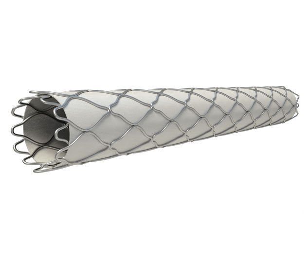Coronary stent graft / stainless steel Direct-Stent® InSitu Technologies