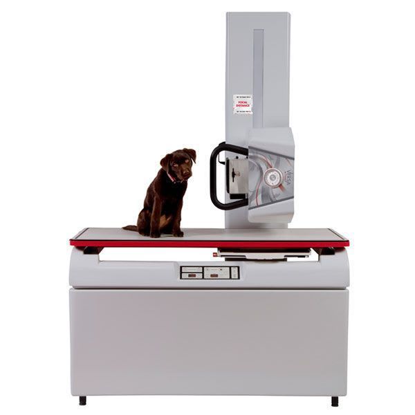 Veterinary X-ray radiology system InnoVet™ Versa InnoVet