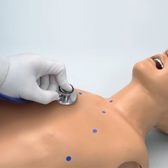 Auscultation patient simulator / adult / torso / with sound generator S315.300 Gaumard