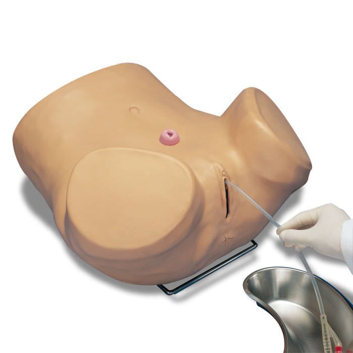 Urinary catheterization simulator / female S230.6 Gaumard