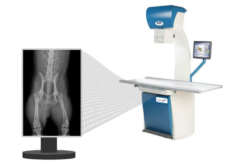 Veterinary X-ray radiology system Vet-X DR GER-INTERNATIONAL