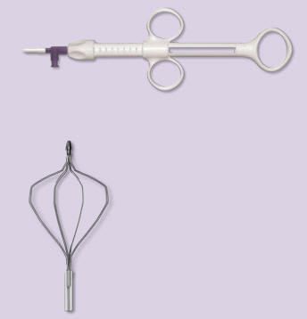 Not specified endoscopic basket / straight Endo-Flex