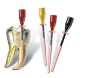 Manual root canal obturator WaveOne® series DENTSPLY Tulsa Dental