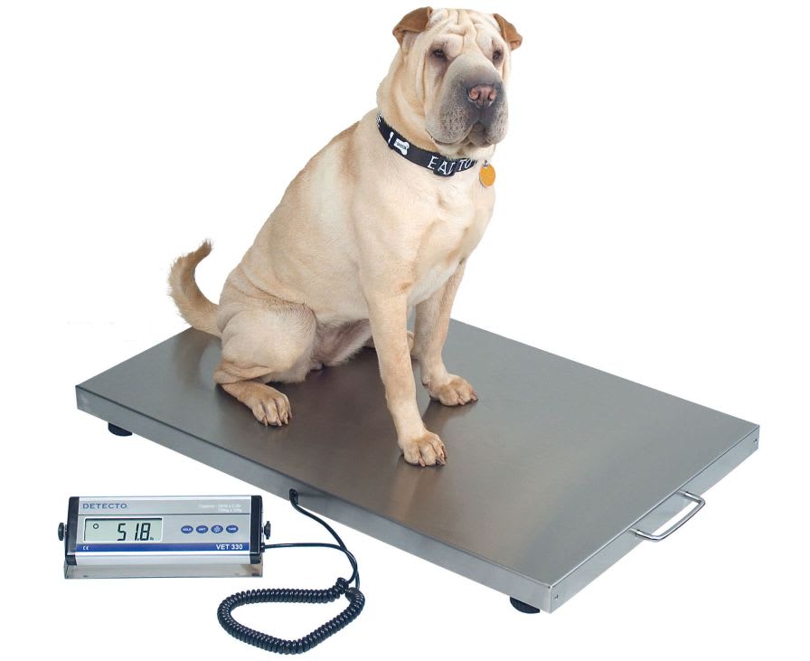 Veterinary platform scale / electronic 150 kg | VET330WH Detecto Scale
