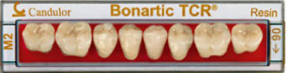 Resin dental prosthesis BONARTIC® TCR Candulor
