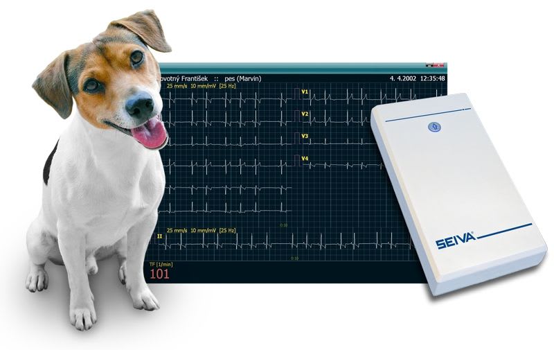Digital veterinary electrocardiograph Seiva