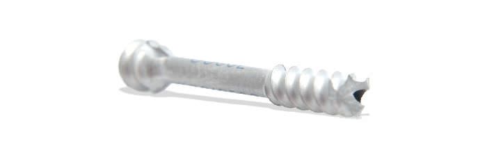 Hallux valgus compression bone screw / not absorbable Ortho Solutions