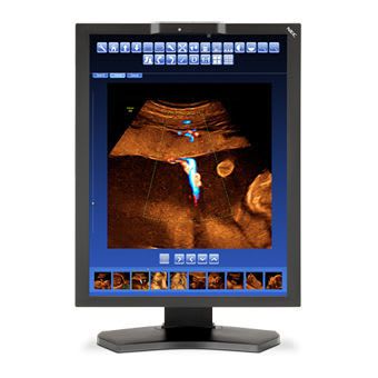LCD display / medical imaging / diagnostic 2 MP | MD210C2 NEC