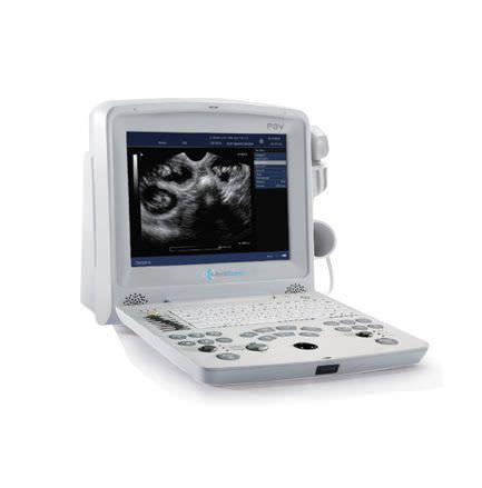 Portable veterinary ultrasound system P3V MediSono