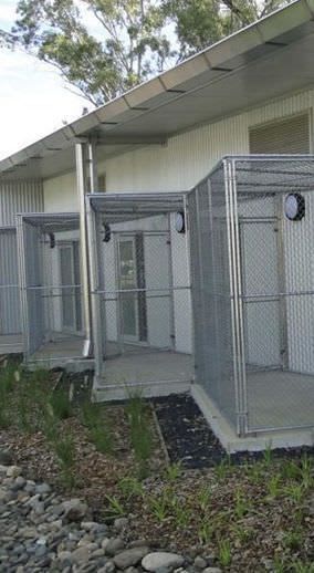 Modular veterinary cage Mason