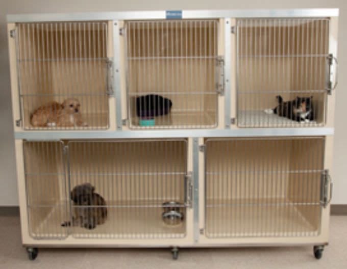 Fiberglass veterinary cage / modular Mason