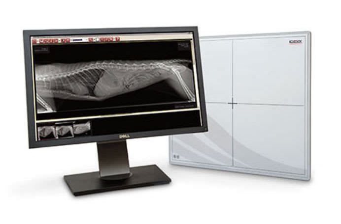 Digital medical radiography acquisition system / for veterinary radiography / fixed IDEXX I-Vision DR® Idexx Laboratories