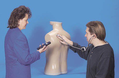 Auscultation patient simulator / torso / with sound generator R10001 Erler-Zimmer Anatomiemodelle