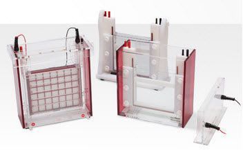 Vertical electrophoresis chamber Eco-Maxi Analytik Jena