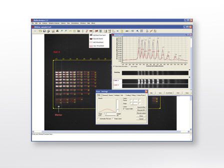 Analysis software / laboratory BioDocAnalyze Analytik Jena