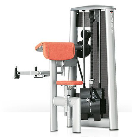 Weight training station (weight training) / arm curl / traditional 00003010 gym80 International