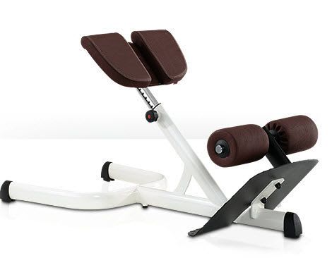 (weight training) / lumbar extension bench / traditional 00004013 gym80 International